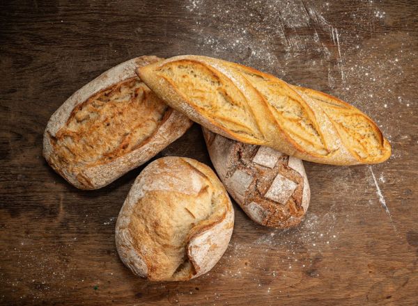 Тесто: История, разнообразие и культурные традиции