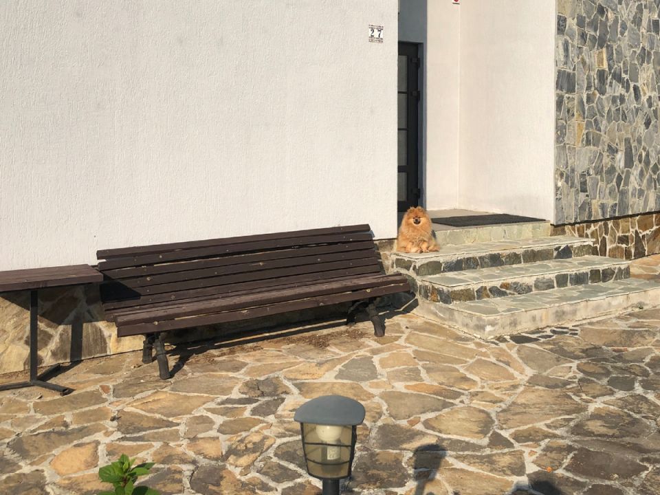 Комфорт и уют в саду: как создать идеальное пространство для отдыха