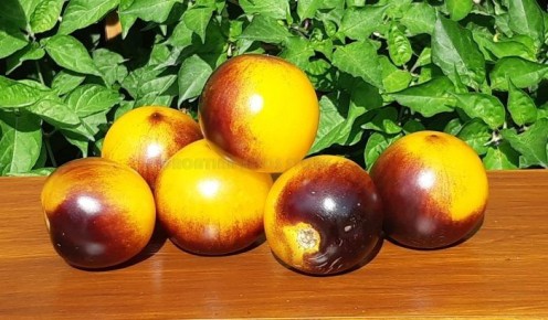 ����� ������� ������: ������������ ������ � �������� ������