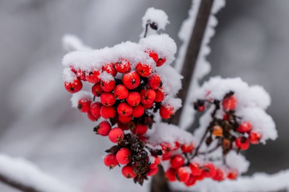 11 ������� � �������� ������� ���� �� �11�, ��������