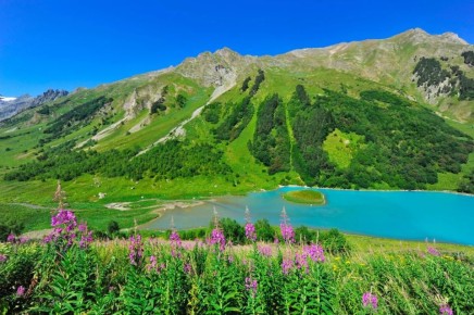 ���������� ����������: ������ ����� ������ ������� �� 2025 ���