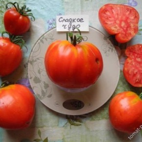 ����� ������� ����: ������������ � ������� ��������� �����������