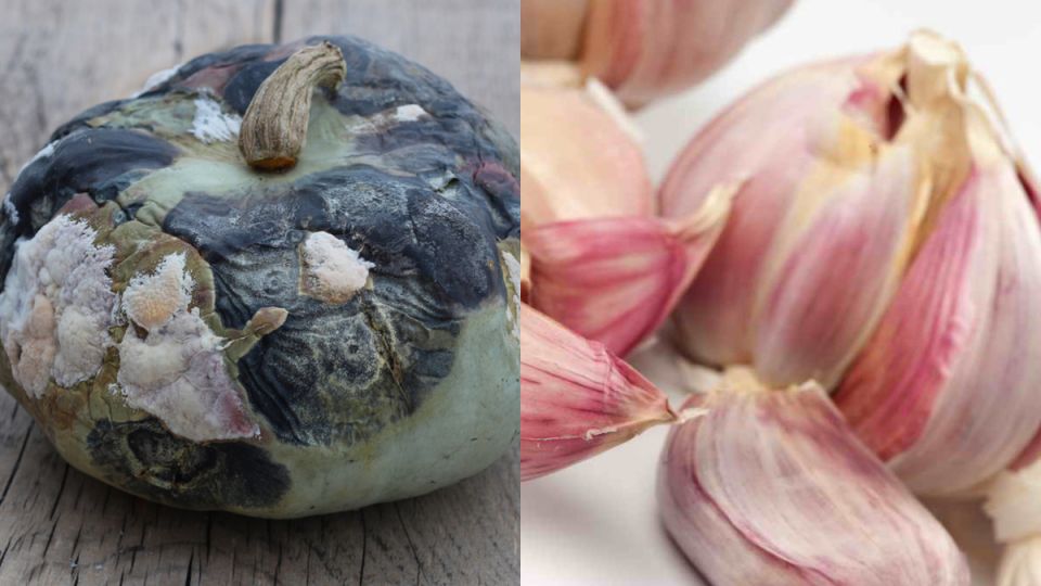 �������� 80% ������: �������������� ������������ ����� �������