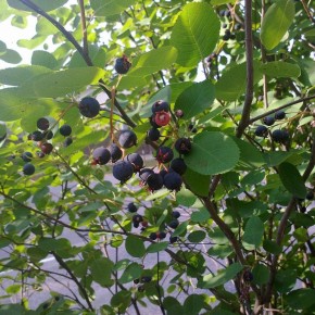 ������ ���� �� ��� ��������� �����: ������ �������, � ������� ����� �����