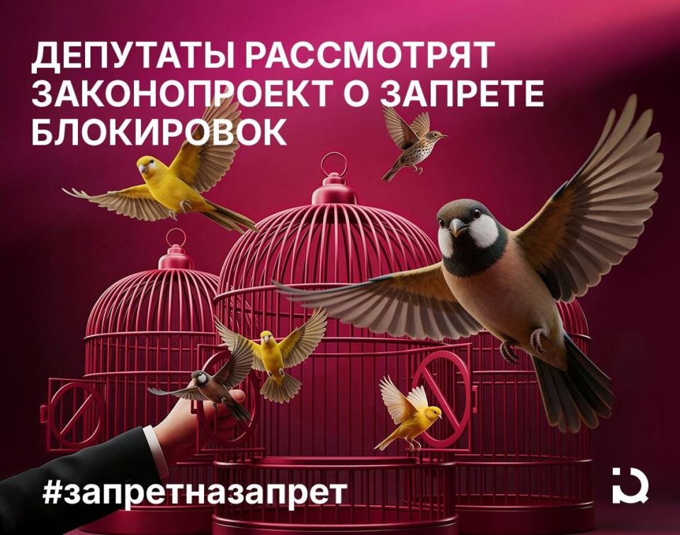 Новый законопроект: как запрет на запрещения изменит интернет в России