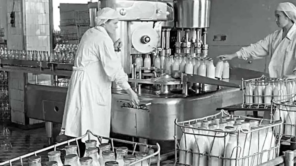 Продукты из СССР: что считалось полезным, а сейчас вызывает сомнения?