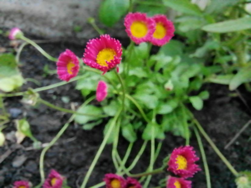 Почему садоводы выбирают белые пакеты для семян: мифы и реальность