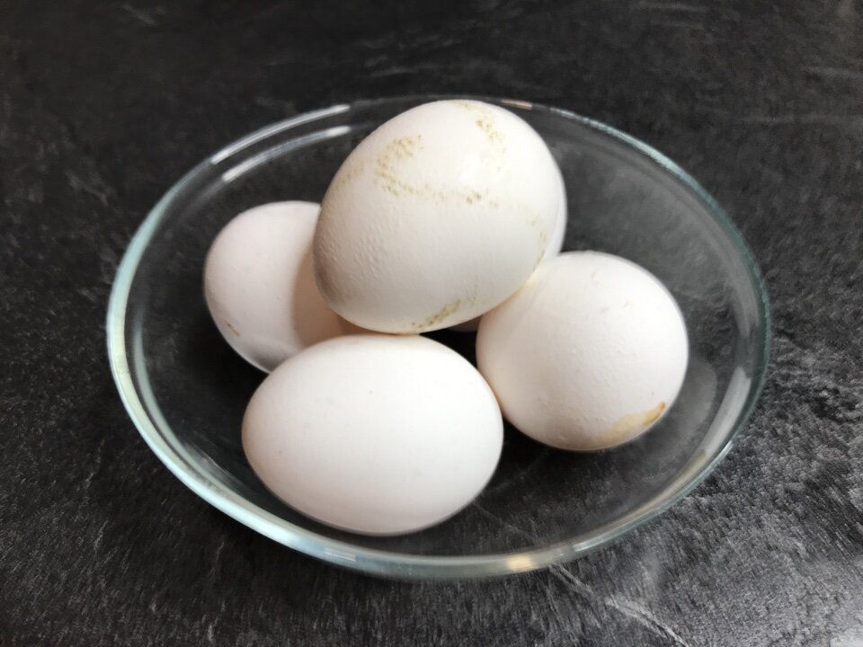 О домашних яйцах: стоит ли делать выбор в их пользу?