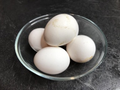 О домашних яйцах: стоит ли делать выбор в их пользу?