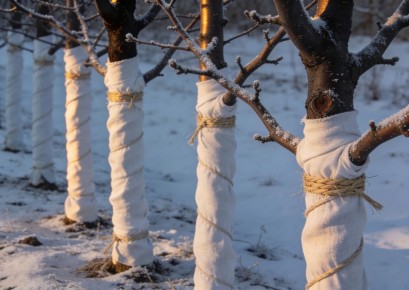 ���������� ���� � �����: ����������� ������ � ����� ��������