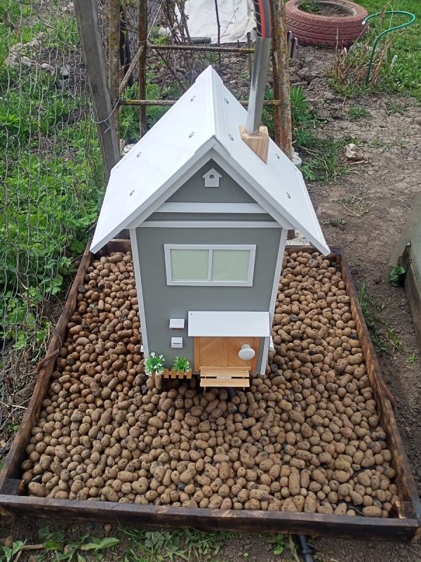 Как создать стильный домик для таймера капельного полива: советы и идеи