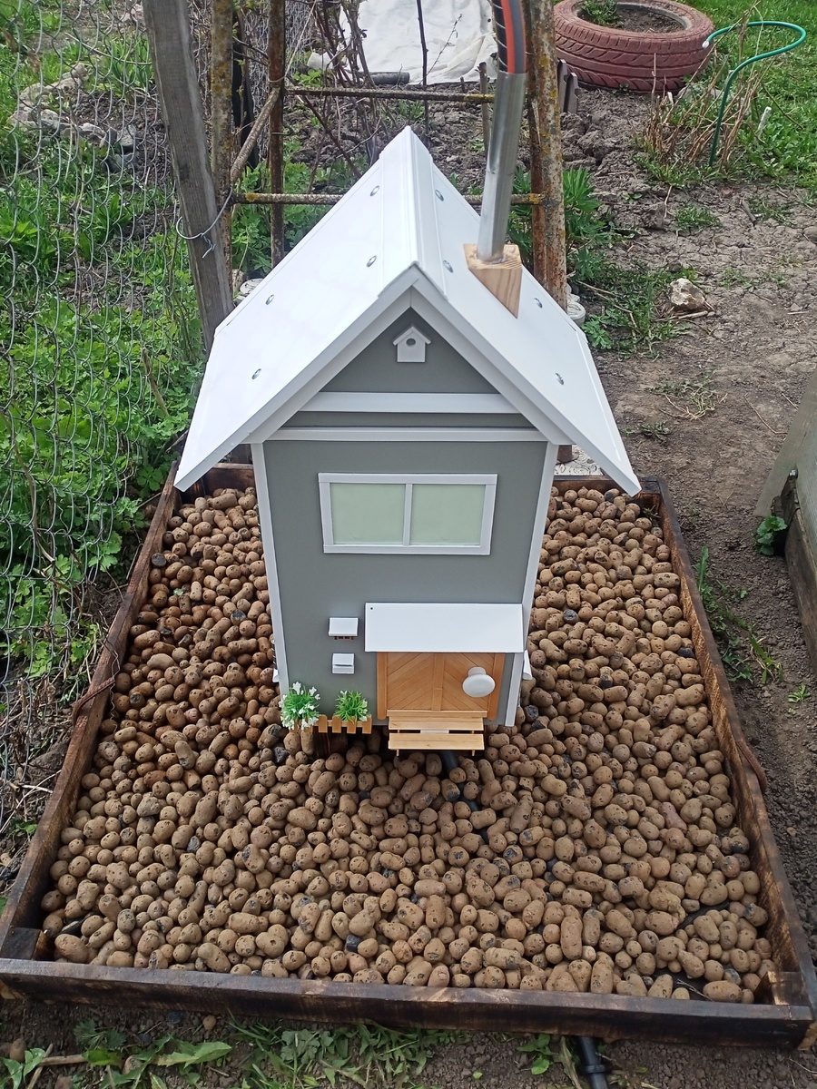 Как создать стильный домик для таймера капельного полива: советы и идеи