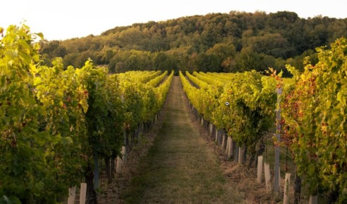 ������������� ����: ��������� ���������� ��� ���������� �����