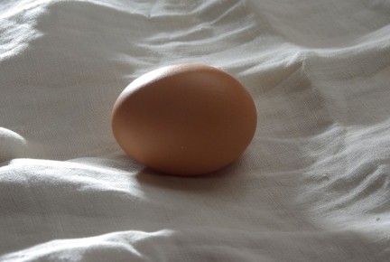 ��� ������ ��������� �������� ����: ������ ���������