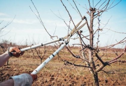 ���� �� ��������� �����: ������������ ����������� �� �������� �������