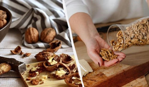 ������� ���������� �������� ������� ������: ��� �������� �����������