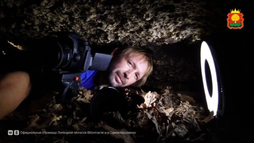 �������� �������� ��������� ���� 20-������� ������ � ������� �������