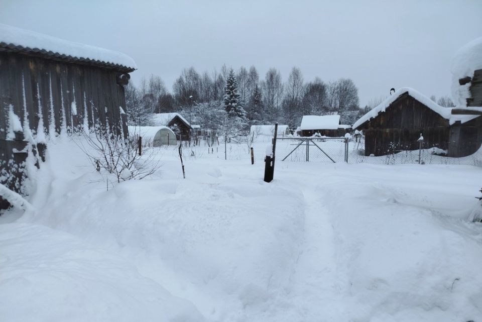 ������ ���: ������ ����������� ������ ��� ���������