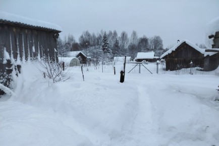 ������ ���: ������ ����������� ������ ��� ���������