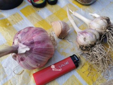 ����� � ��� ��������� �������� ������: ������� ���������