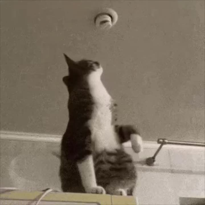 ������� � ���������� ����� � 60 ���� � �������� ��