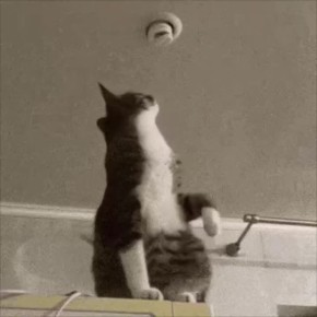 ������� � ���������� ����� � 60 ���� � �������� ��