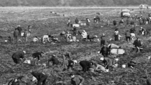 Погружение в ностальгию: яркие воспоминания о прошлом