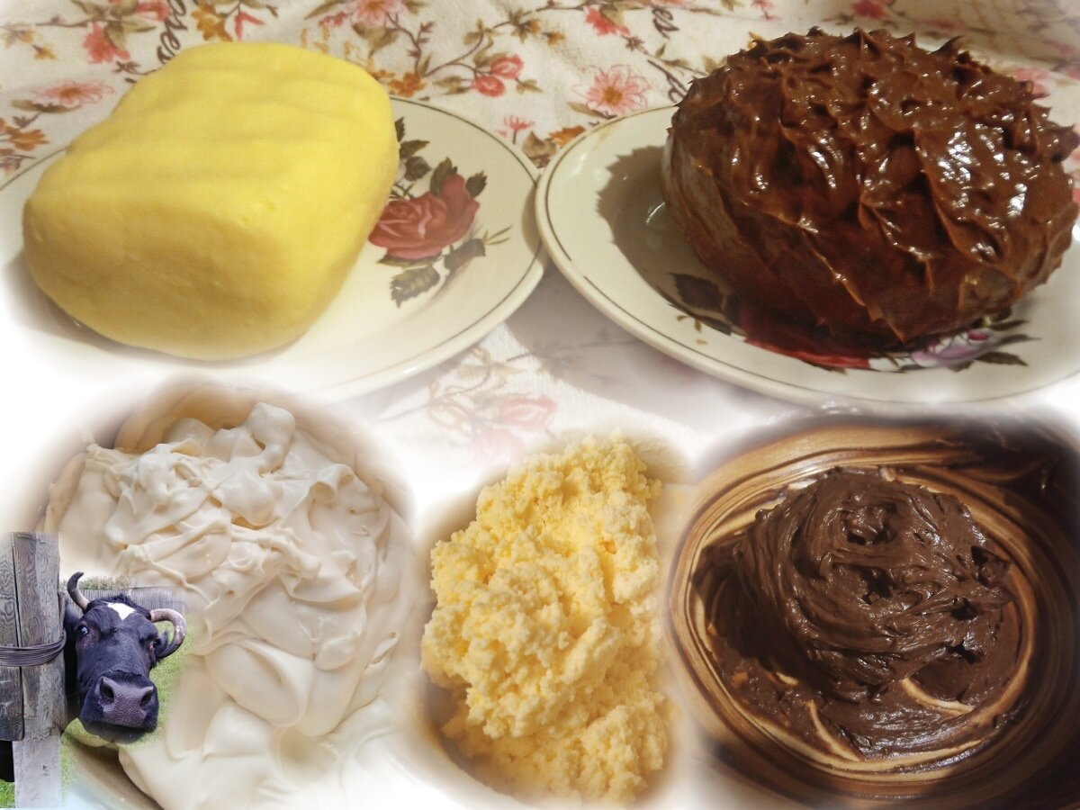 Как приготовить сливочное масло из домашнего коровьего молока