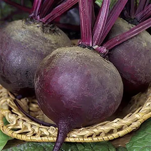 ��������� ��������: ������ ������ ������ ���� � ����� ����