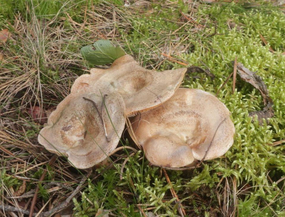 ����� �������: ����� ���� � ���� ����������� ������!