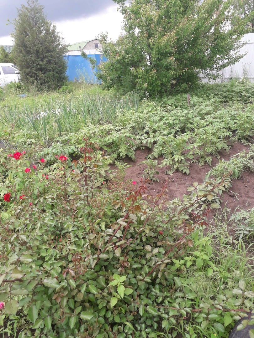 Когда твое трудолюбие сходит на нет: как природные катаклизмы стирают мечты с лица земли