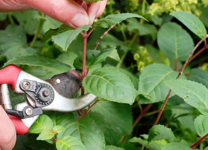 ��� ��������� ������ ����� � �������: ������� ����� �� �����