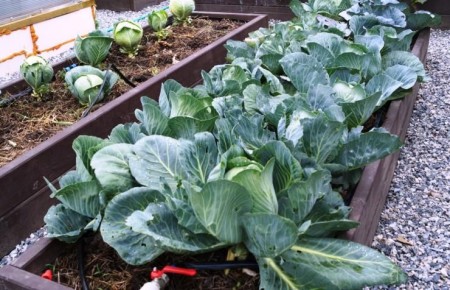 ������� ��������� ����� �� ��������: �� ������ �� ��������