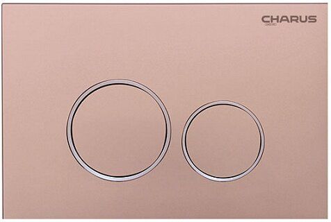 Как выбрать идеальную смывную клавишу: 5 секретов от CHARUS, которые изменят ваш санузел