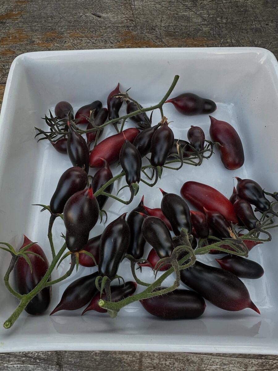 Кумкват Розовый опал: Нежный вкус и привлекательный вид на вашем столе