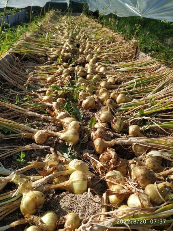 ��� ����� ����������� ��� � ���� � ������� ������: 5 ������� �����