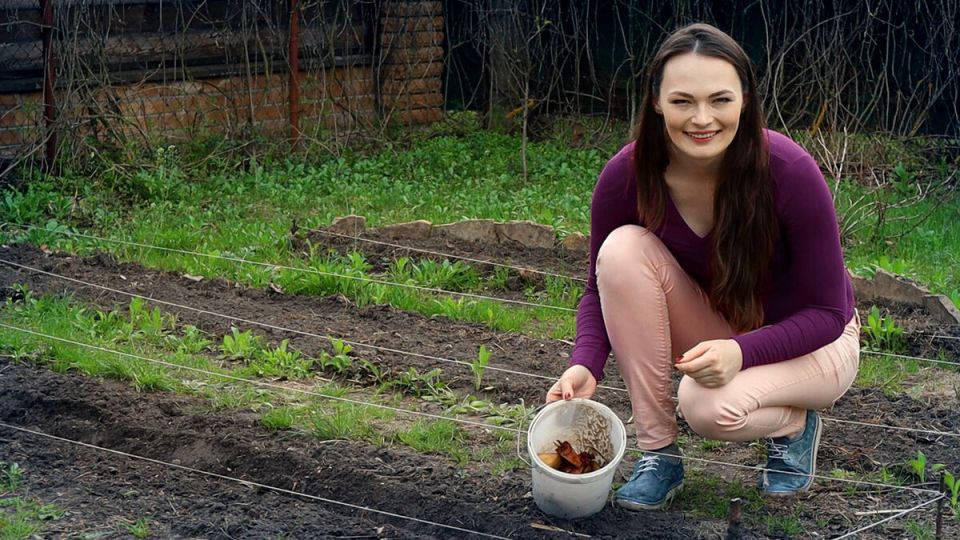 Секреты урожайного картофеля: 3 удивительных факта, которые изменят ваш подход к садоводству