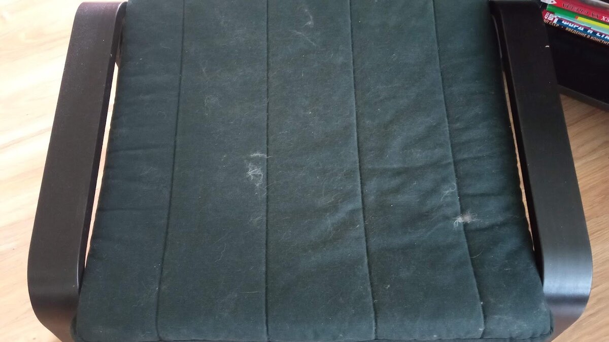 Как быстро избавиться от шерсти домашних животных на мебели