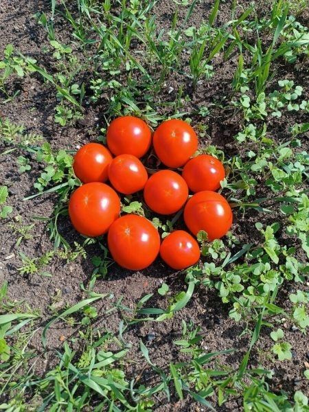 ����� ������: ������ ������ ��� ����� ������