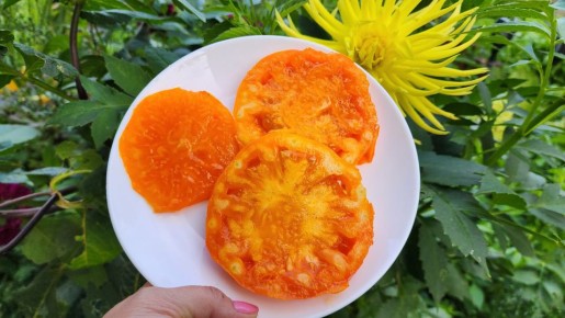 ����� "����� ������� ��������": ������� ����������� � ����, ������� ��������