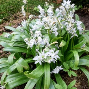 ����������� ������ ������ �� �������� � ����