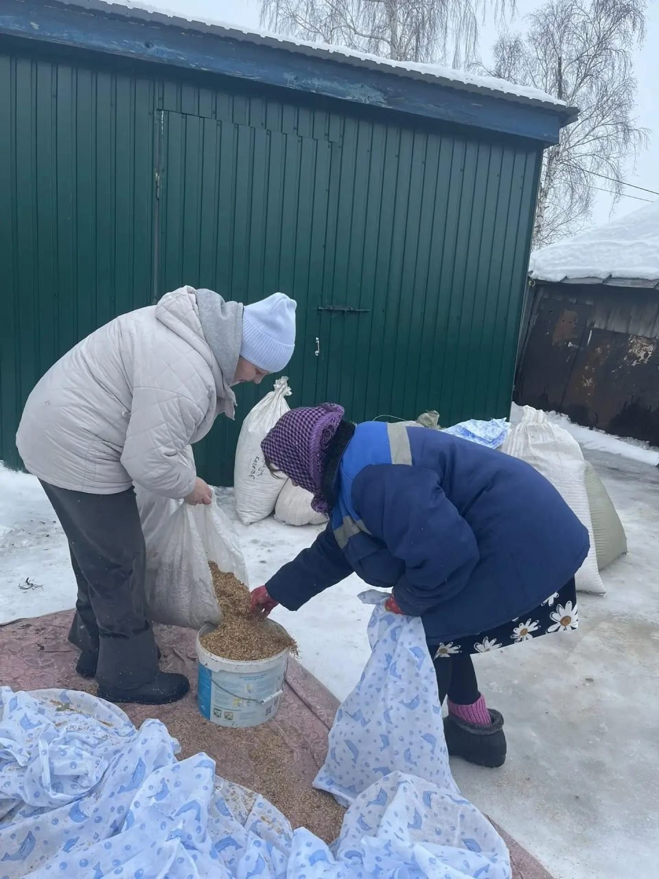 Будить берёзки к весне готовятся в Чаплыгинском лесхозе Будить берёзки к весне готовятся в Чаплыгинском лесхозе