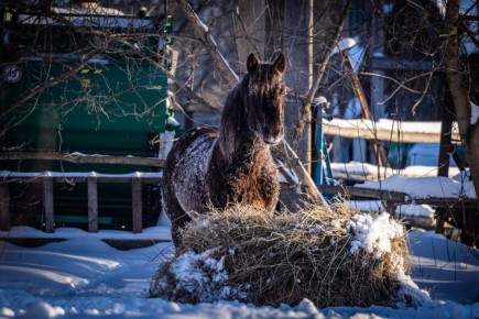 24 февраля в Липецкой области