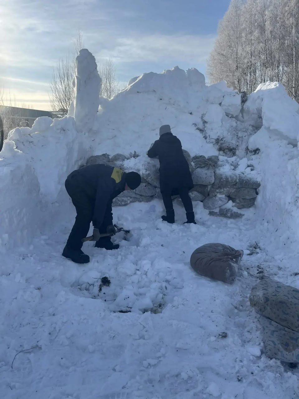 Будить берёзки к весне готовятся в Чаплыгинском лесхозе