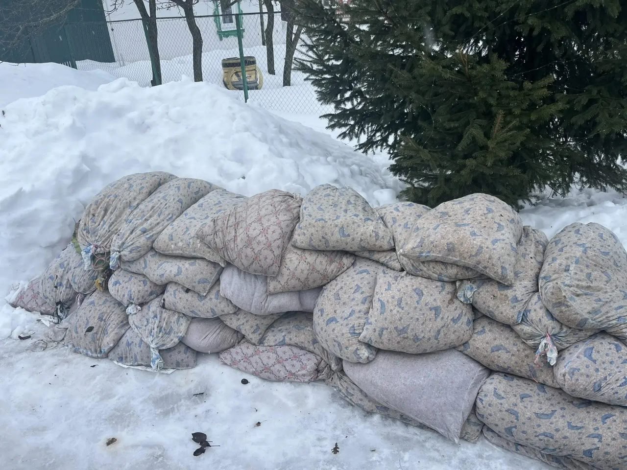 Будить берёзки к весне готовятся в Чаплыгинском лесхозе Будить берёзки к весне готовятся в Чаплыгинском лесхозе