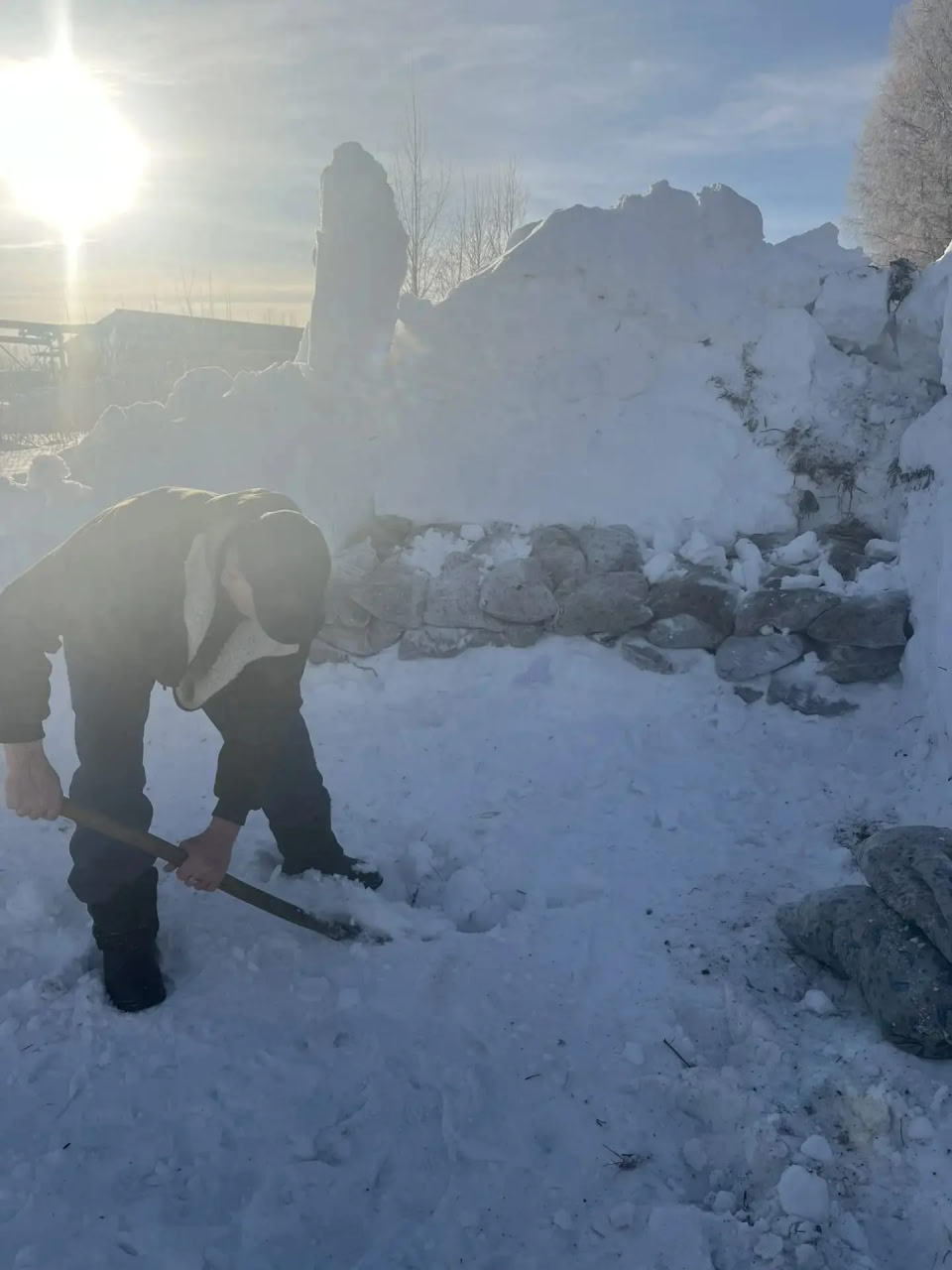 Будить берёзки к весне готовятся в Чаплыгинском лесхозе Будить берёзки к весне готовятся в Чаплыгинском лесхозе