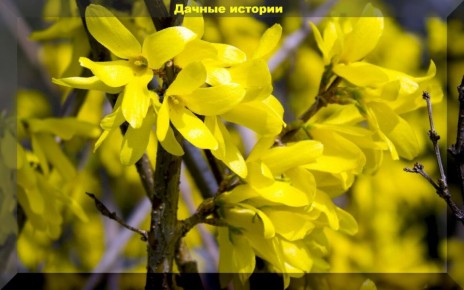 ��� �������� ����� ���������� �������� ��� � ������� ������