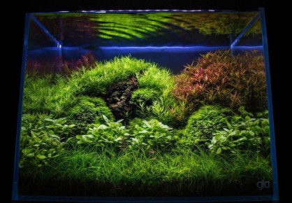 ����� ��������� ���� ����� ��� ���������� ���������?