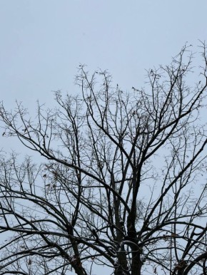 ������ ����, ������. ������� ����� � ������� ���� ������, �� �������� �� �����! ���� �� 0 �� 4�