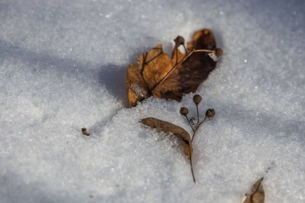 25 ������� � �������� ������� ���� �� +3�C, ������ ����, ������� �� 5�C